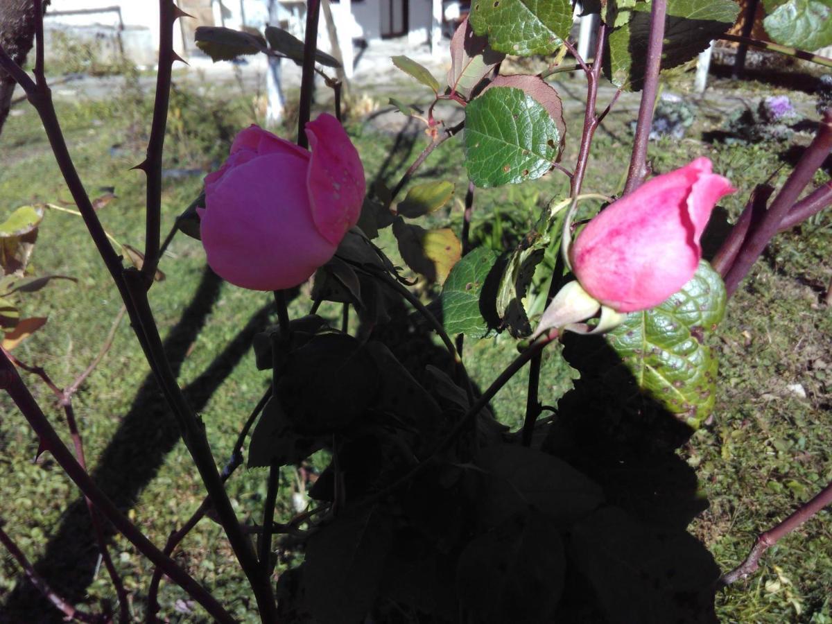 9 Plus - Orbeli ภายนอก รูปภาพ