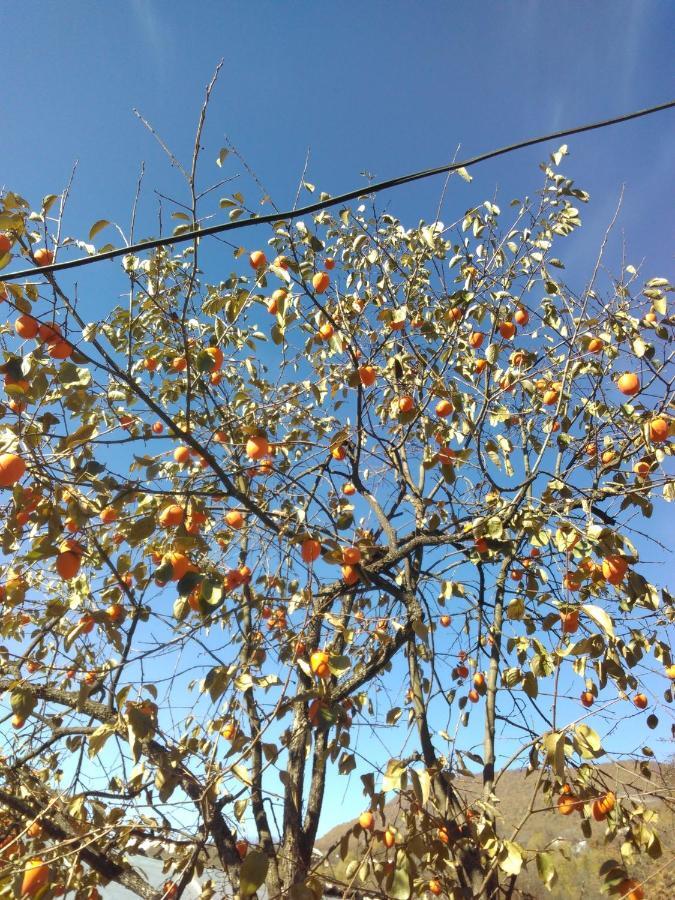 9 Plus - Orbeli ภายนอก รูปภาพ