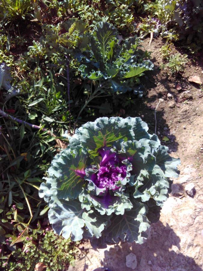 9 Plus - Orbeli ภายนอก รูปภาพ
